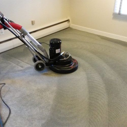 carpet cleaning greenleaf id results 5